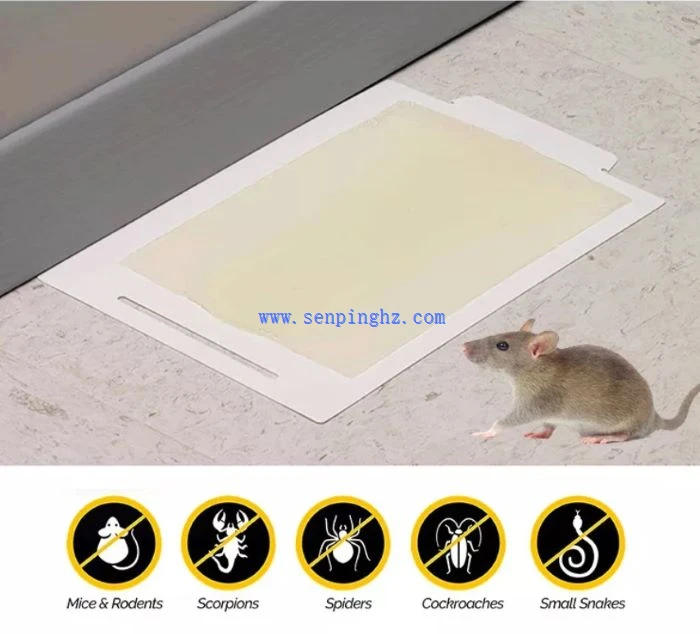 Pest Control Trap